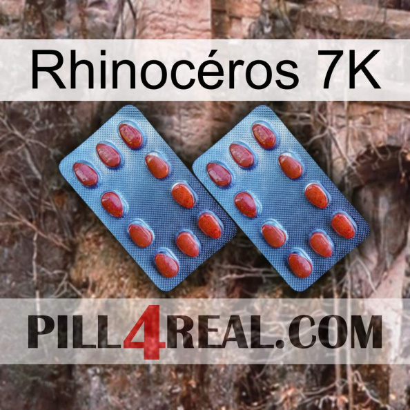 Rhinocéros 7K 05